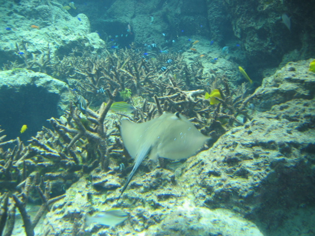 IMG_1726.JPG