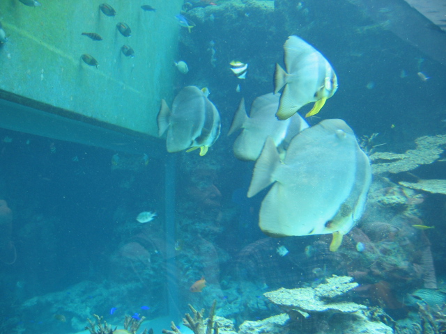 IMG_1729.JPG