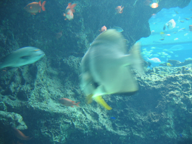 IMG_1730.JPG