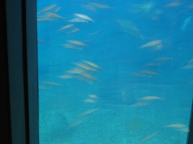 IMG_1736.JPG