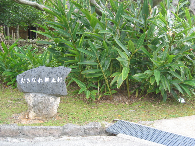 IMG_1755.JPG