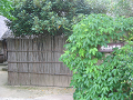 IMG_1770_thumb.png