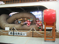 IMG_1886_thumb.png