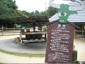 IMG_1909_thumb.png