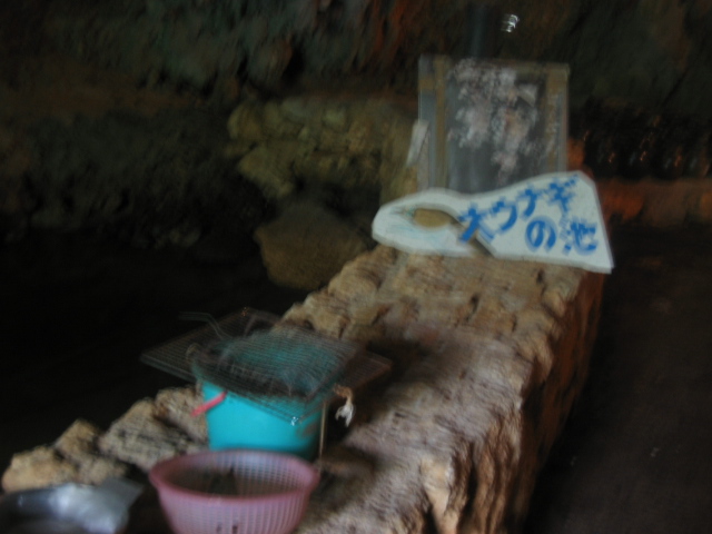 IMG_2062.JPG