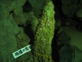 IMG_2067_thumb.png