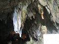IMG_2081_thumb.png