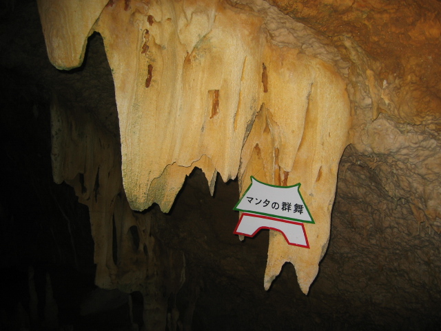 IMG_2175.JPG