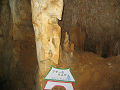 IMG_2176_thumb.png