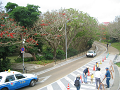 IMG_1602_thumb.png