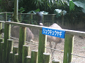 IMG_2128_thumb.png