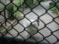 IMG_2129_thumb.png