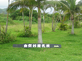 IMG_2143_thumb.png