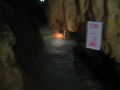 IMG_2147_thumb.png