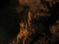 IMG_2151_thumb.png