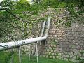 IMG_1526_thumb.png