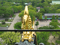 IMG_1549_thumb.png