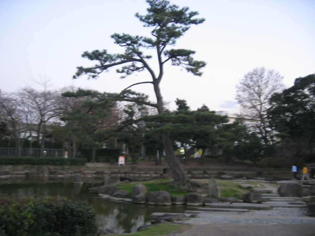 IMG_3763.JPG