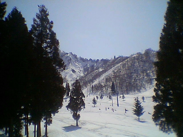 P1000008.JPG