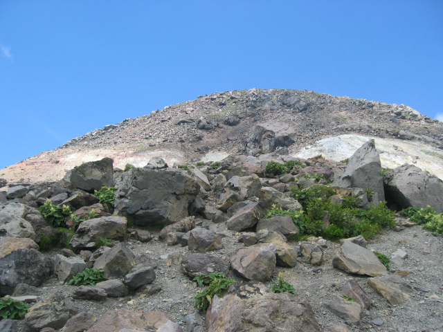 IMG_2494.JPG