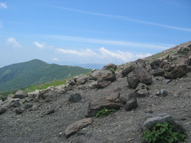 IMG_2495.JPG